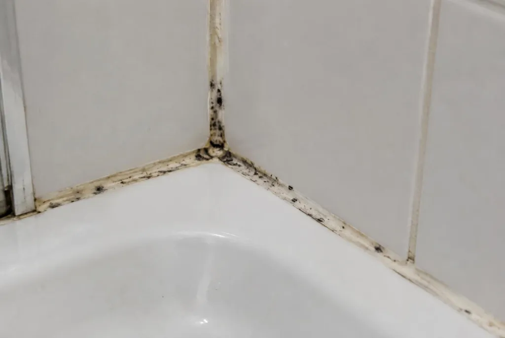 Kitbedrijf Vriezenveen – beschimmelde kitranden